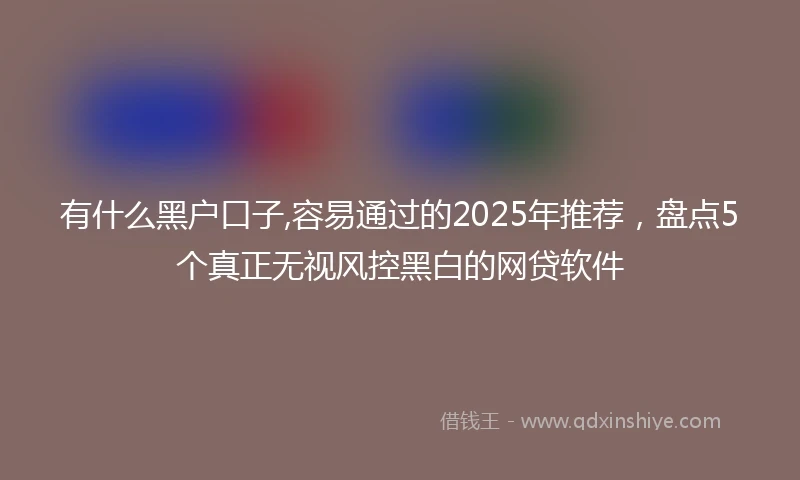 有什么黑户口子,容易通过的2025年推荐，盘点5个真正无视风控黑白的网贷软件