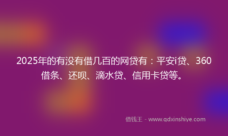 2025年的有没有借几百的网贷有：平安i贷、360借条、还呗、滴水贷、信用卡贷等。