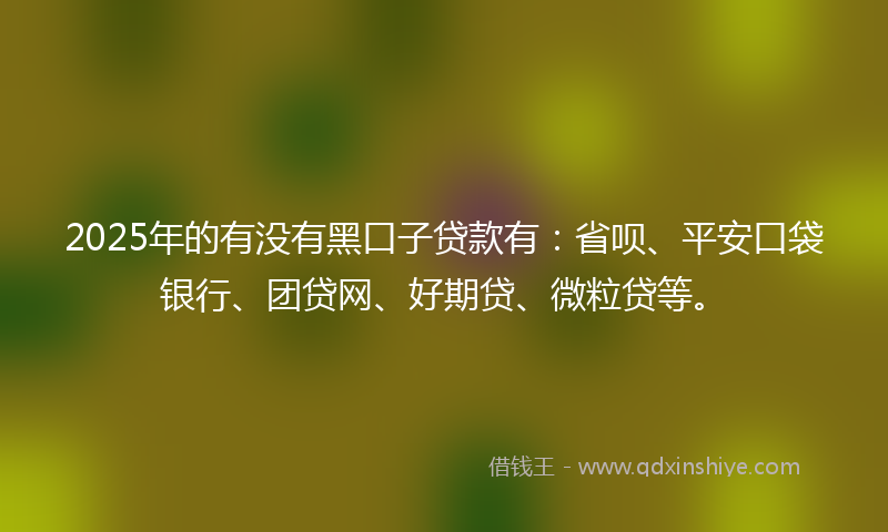 2025年的有没有黑口子贷款有：省呗、平安口袋银行、团贷网、好期贷、微粒贷等。