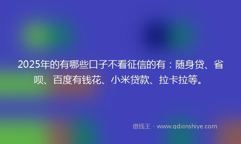2025年的有哪些口子不看征信的有：随身贷、省呗、百度有钱花、小米贷款、拉卡拉等。
