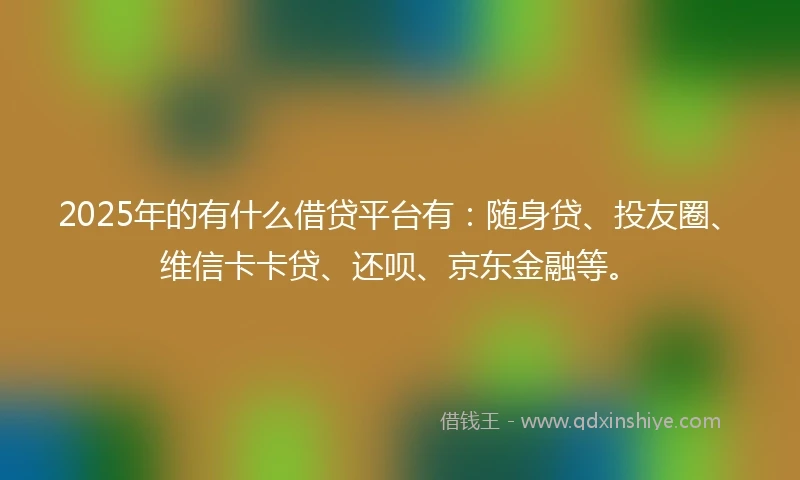 2025年的有什么借贷平台有：随身贷、投友圈、维信卡卡贷、还呗、京东金融等。