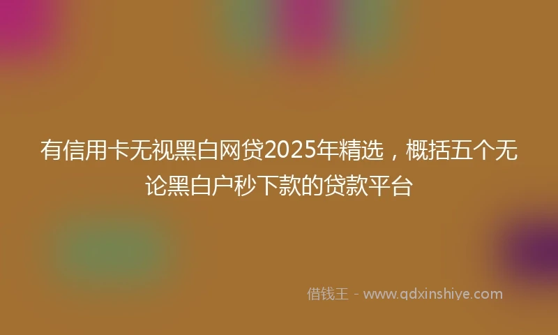 有信用卡无视黑白网贷2025年精选，概括五个无论黑白户秒下款的贷款平台