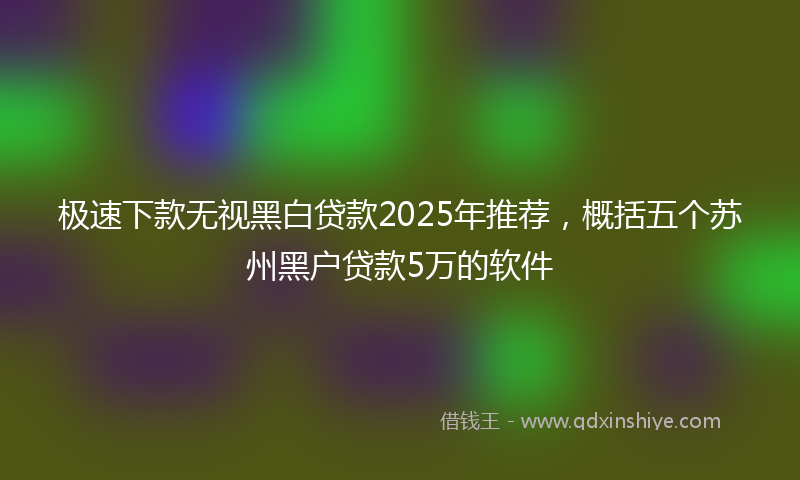 极速下款无视黑白贷款2025年推荐，概括五个苏州黑户贷款5万的软件