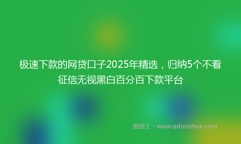 极速下款的网贷口子2025年精选，归纳5个不看征信无视黑白百分百下款平台
