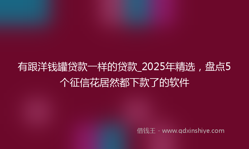 有跟洋钱罐贷款一样的贷款_2025年精选，盘点5个征信花居然都下款了的软件