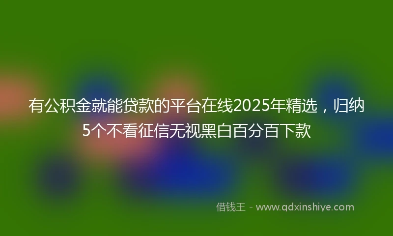有公积金就能贷款的平台在线2025年精选，归纳5个不看征信无视黑白百分百下款