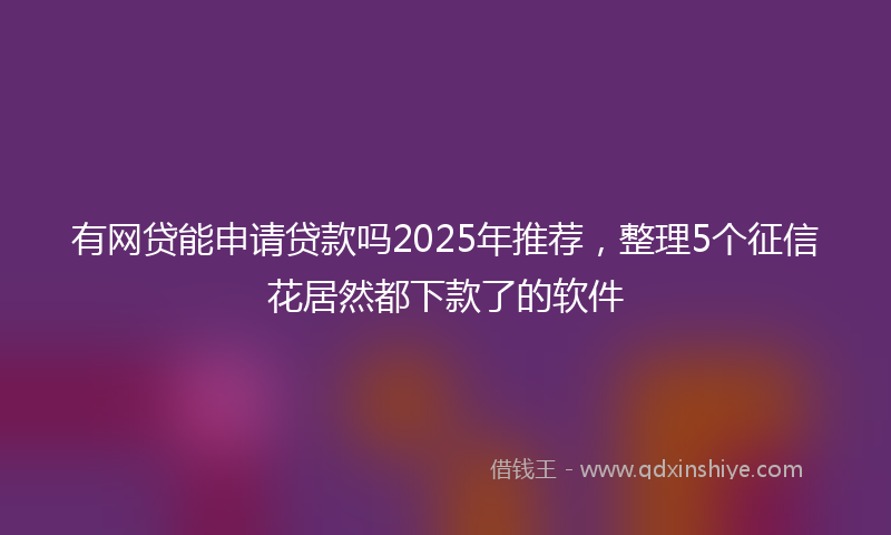 有网贷能申请贷款吗2025年推荐，整理5个征信花居然都下款了的软件
