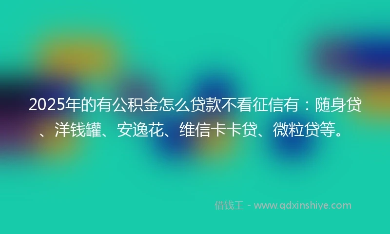2025年的有公积金怎么贷款不看征信有：随身贷、洋钱罐、安逸花、维信卡卡贷、微粒贷等。
