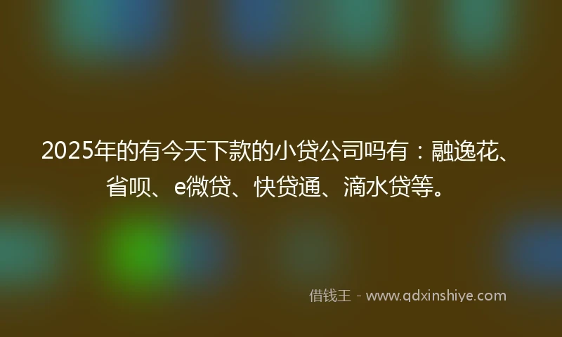 2025年的有今天下款的小贷公司吗有：融逸花、省呗、e微贷、快贷通、滴水贷等。