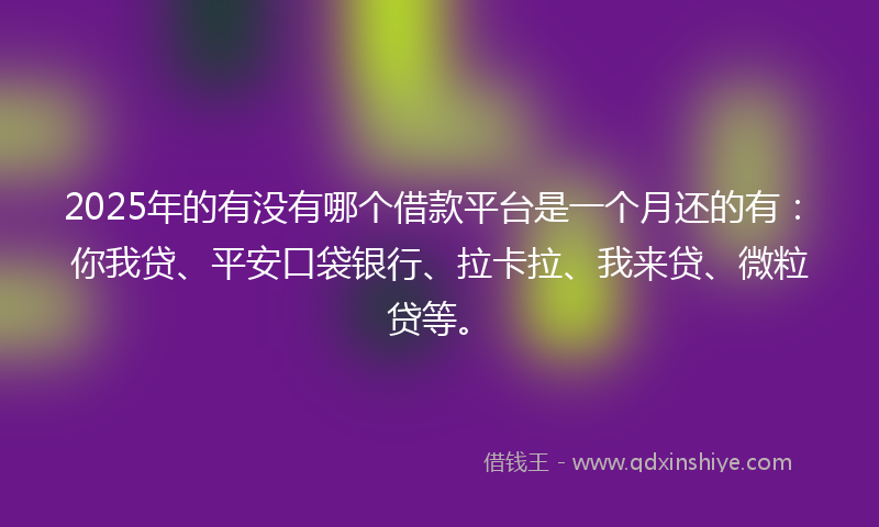2025年的有没有哪个借款平台是一个月还的有：你我贷、平安口袋银行、拉卡拉、我来贷、微粒贷等。