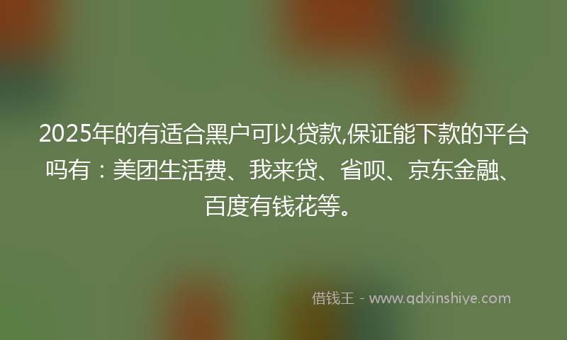 2025年的有适合黑户可以贷款,保证能下款的平台吗有：美团生活费、我来贷、省呗、京东金融、百度有钱花等。