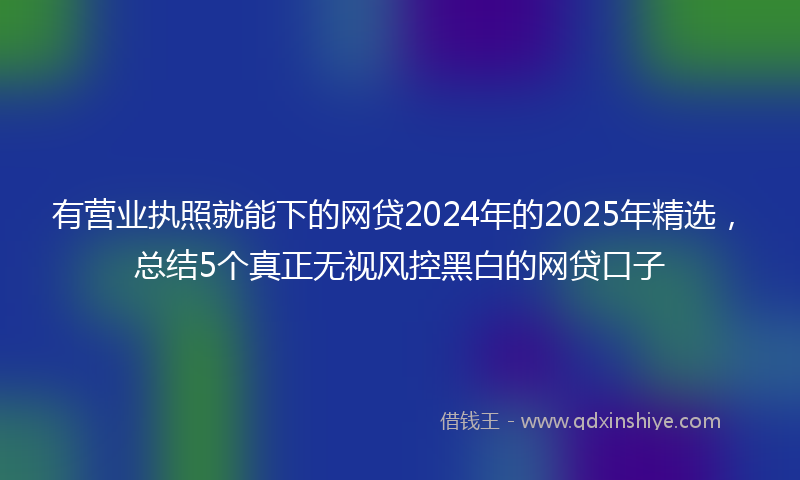 有营业执照就能下的网贷2024年的2025年精选，总结5个真正无视风控黑白的网贷口子