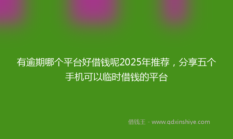 有逾期哪个平台好借钱呢2025年推荐，分享五个手机可以临时借钱的平台