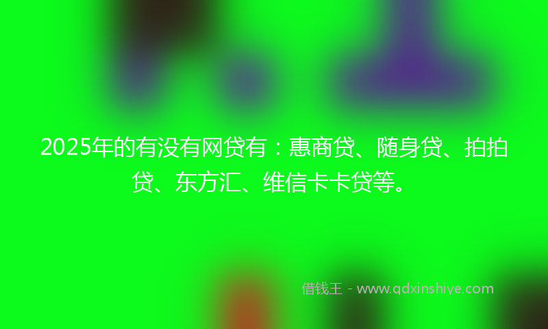 2025年的有没有网贷有：惠商贷、随身贷、拍拍贷、东方汇、维信卡卡贷等。