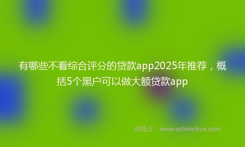 有哪些不看综合评分的贷款app2025年推荐，概括5个黑户可以做大额贷款app
