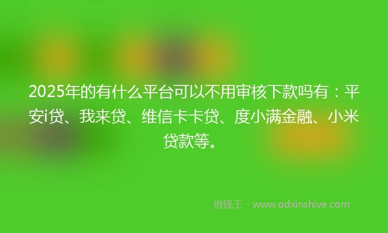 2025年的有什么平台可以不用审核下款吗有：平安i贷、我来贷、维信卡卡贷、度小满金融、小米贷款等。