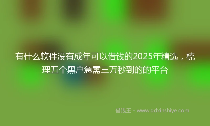 有什么软件没有成年可以借钱的2025年精选，梳理五个黑户急需三万秒到的的平台
