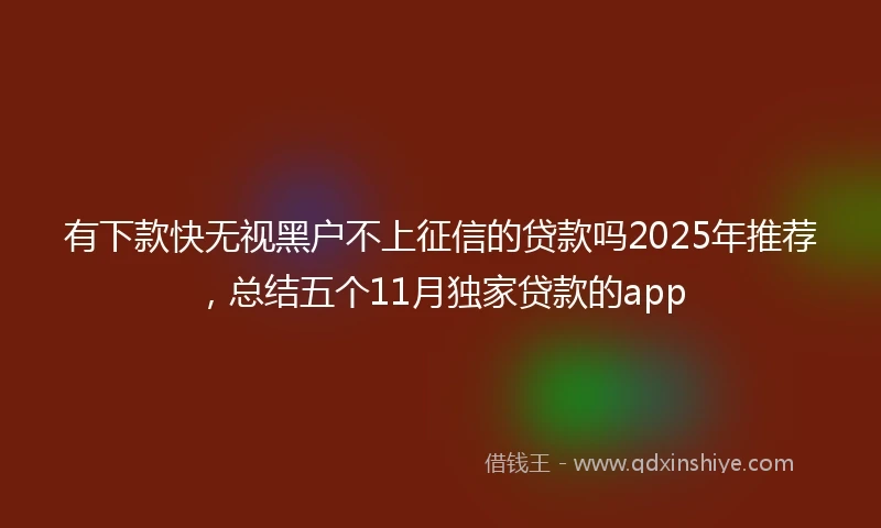 有下款快无视黑户不上征信的贷款吗2025年推荐，总结五个11月独家贷款的app