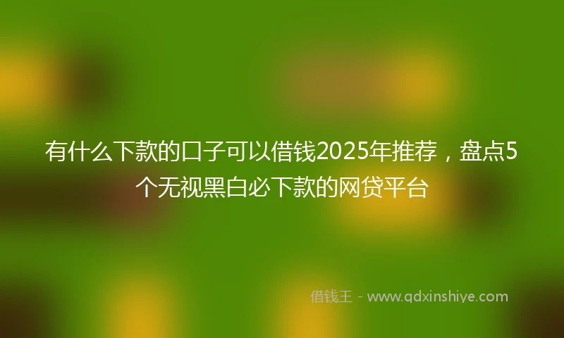 有什么下款的口子可以借钱2025年推荐，盘点5个无视黑白必下款的网贷平台