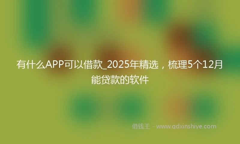 有什么APP可以借款_2025年精选，梳理5个12月能贷款的软件