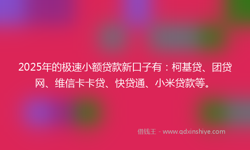 2025年的极速小额贷款新口子有：柯基贷、团贷网、维信卡卡贷、快贷通、小米贷款等。