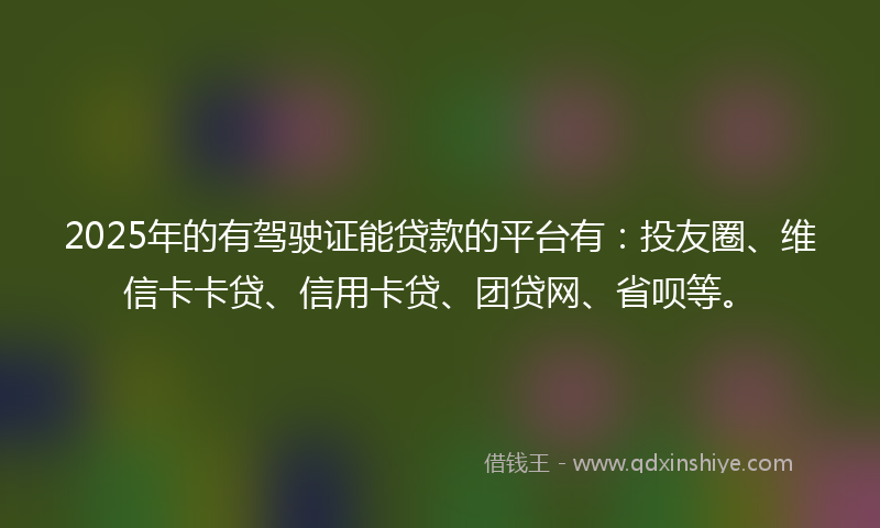 2025年的有驾驶证能贷款的平台有：投友圈、维信卡卡贷、信用卡贷、团贷网、省呗等。