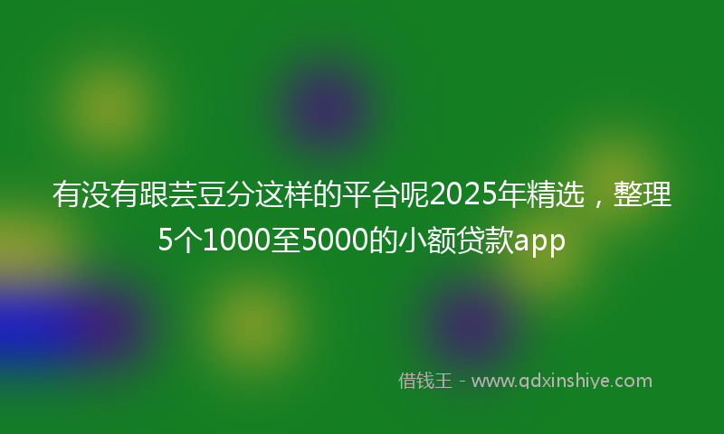 有没有跟芸豆分这样的平台呢2025年精选，整理5个1000至5000的小额贷款app