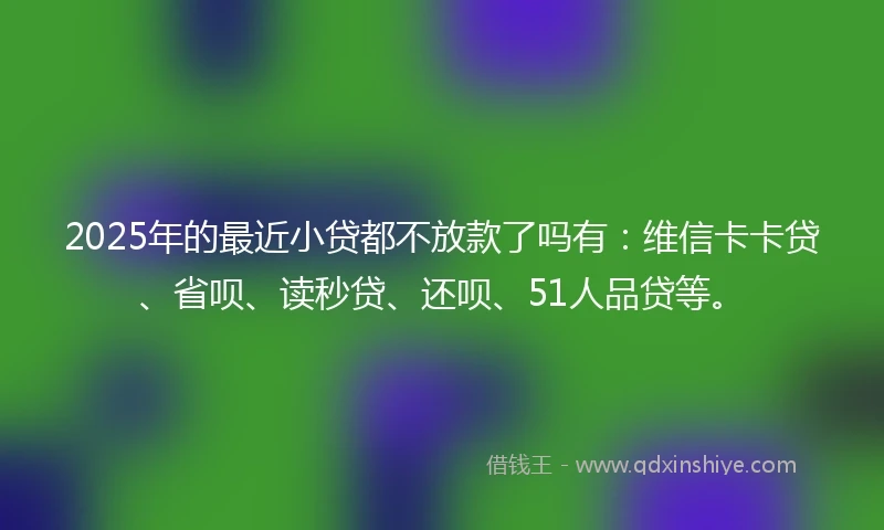2025年的最近小贷都不放款了吗有：维信卡卡贷、省呗、读秒贷、还呗、51人品贷等。