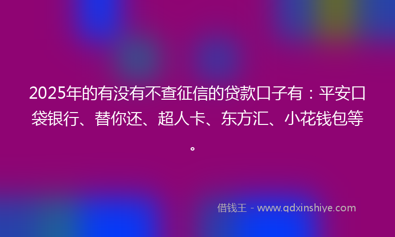 2025年的有没有不查征信的贷款口子有：平安口袋银行、替你还、超人卡、东方汇、小花钱包等。