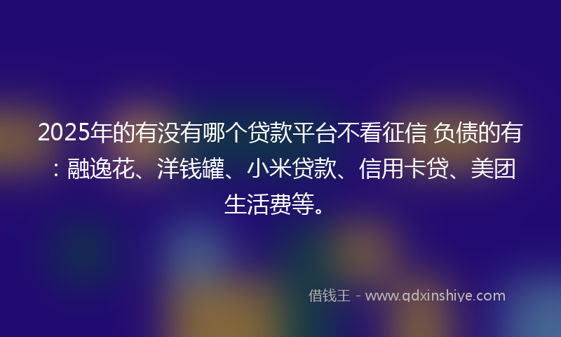 2025年的有没有哪个贷款平台不看征信 负债的有：融逸花、洋钱罐、小米贷款、信用卡贷、美团生活费等。
