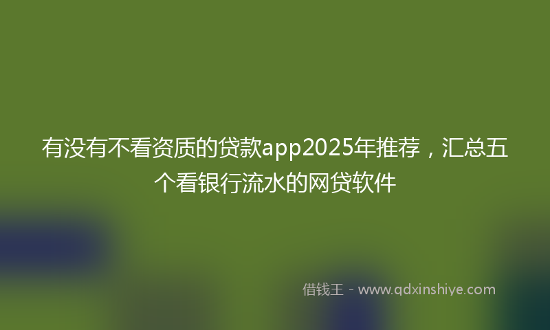 有没有不看资质的贷款app2025年推荐，汇总五个看银行流水的网贷软件