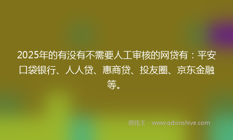 2025年的有没有不需要人工审核的网贷有：平安口袋银行、人人贷、惠商贷、投友圈、京东金融等。