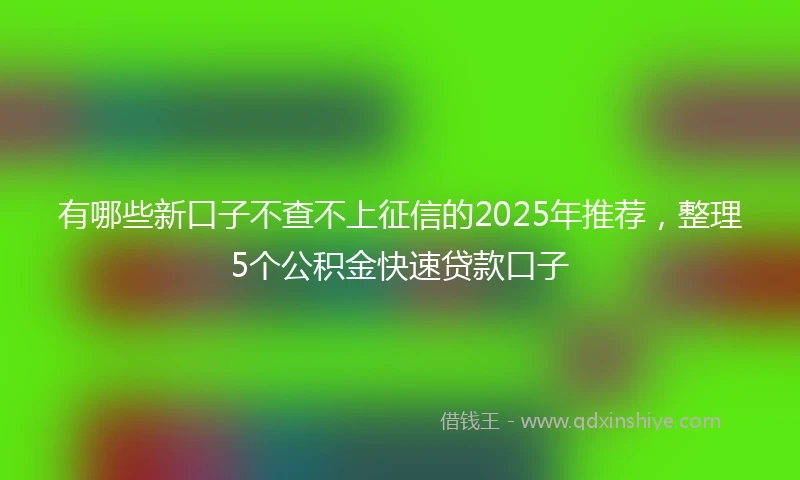 有哪些新口子不查不上征信的2025年推荐，整理5个公积金快速贷款口子