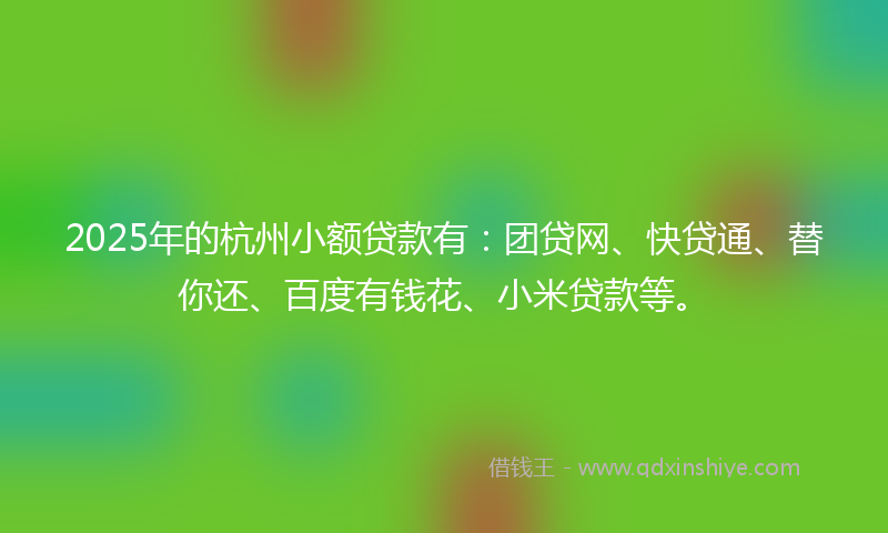 2025年的杭州小额贷款有：团贷网、快贷通、替你还、百度有钱花、小米贷款等。