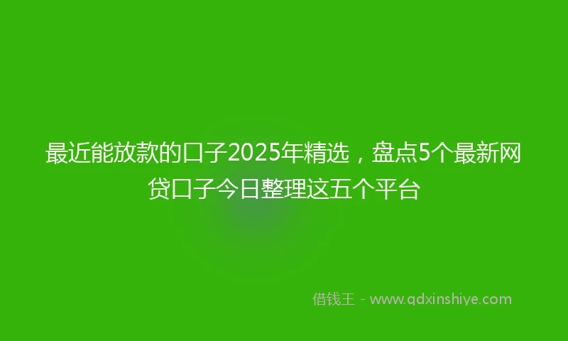 最近能放款的口子2025年精选，盘点5个最新网贷口子今日整理这五个平台
