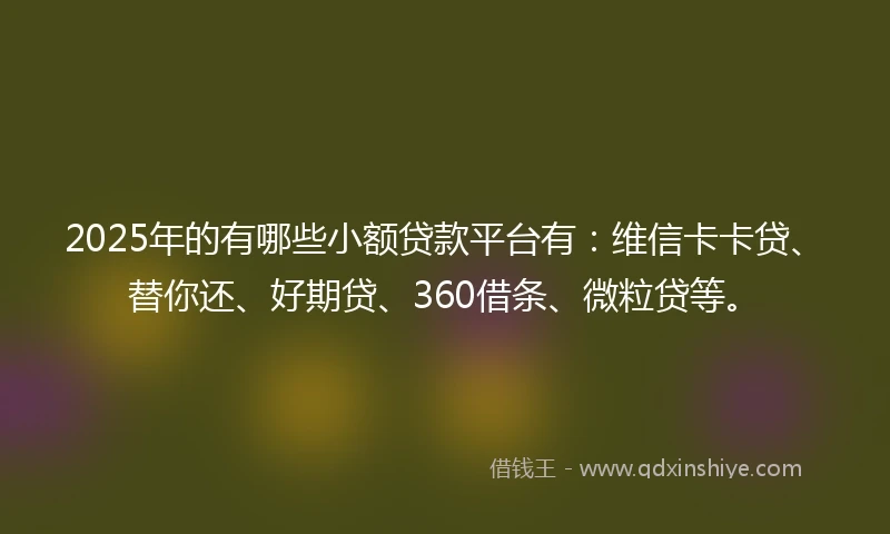 2025年的有哪些小额贷款平台有：维信卡卡贷、替你还、好期贷、360借条、微粒贷等。