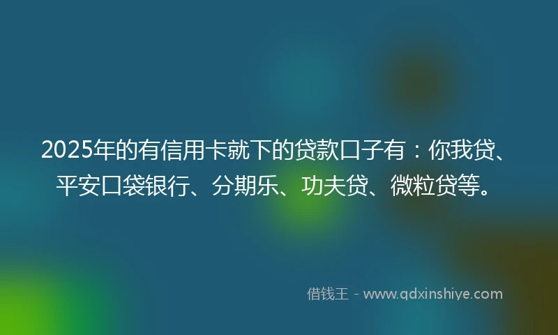 2025年的有信用卡就下的贷款口子有：你我贷、平安口袋银行、分期乐、功夫贷、微粒贷等。