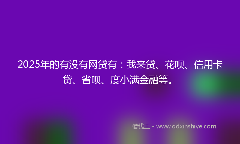 2025年的有没有网贷有：我来贷、花呗、信用卡贷、省呗、度小满金融等。