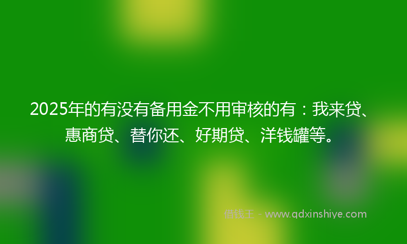 2025年的有没有备用金不用审核的有：我来贷、惠商贷、替你还、好期贷、洋钱罐等。