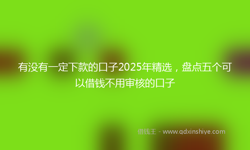 有没有一定下款的口子2025年精选，盘点五个可以借钱不用审核的口子
