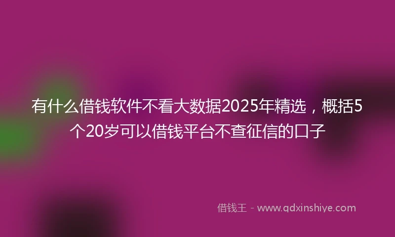 有什么借钱软件不看大数据2025年精选，概括5个20岁可以借钱平台不查征信的口子