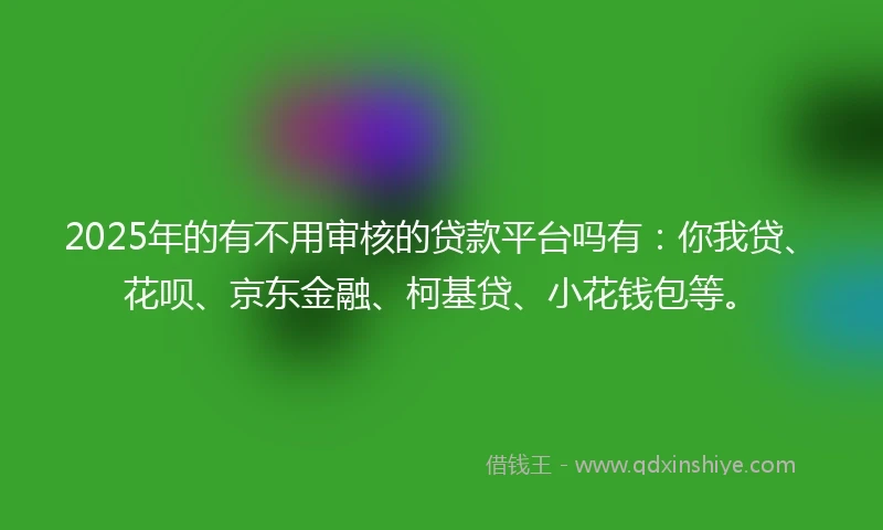2025年的有不用审核的贷款平台吗有：你我贷、花呗、京东金融、柯基贷、小花钱包等。
