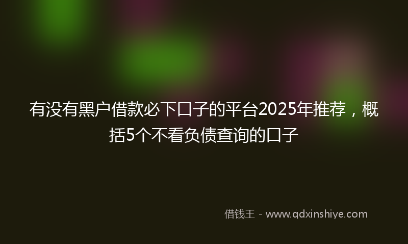有没有黑户借款必下口子的平台2025年推荐，概括5个不看负债查询的口子