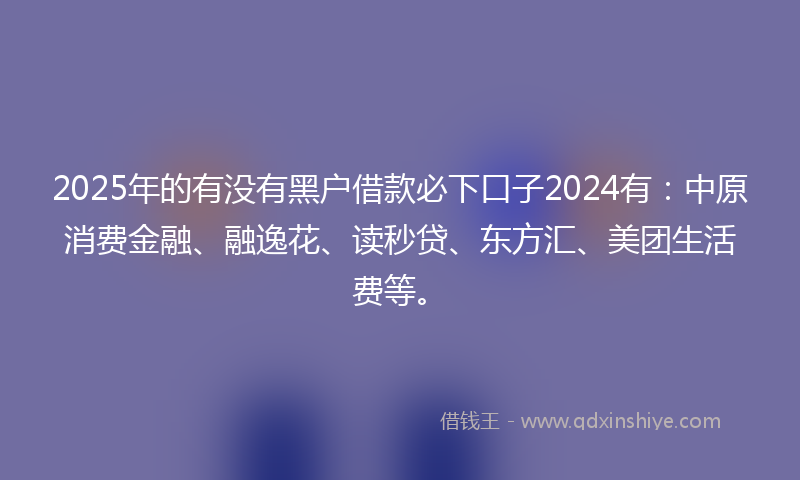 2025年的有没有黑户借款必下口子2024有：中原消费金融、融逸花、读秒贷、东方汇、美团生活费等。