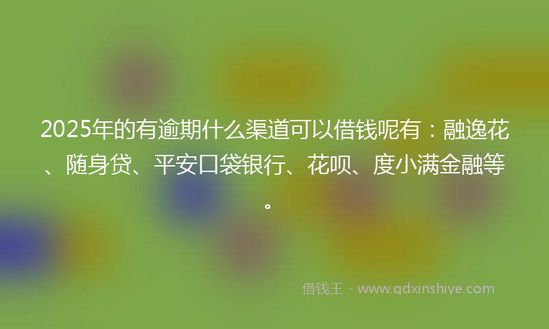 2025年的有逾期什么渠道可以借钱呢有：融逸花、随身贷、平安口袋银行、花呗、度小满金融等。