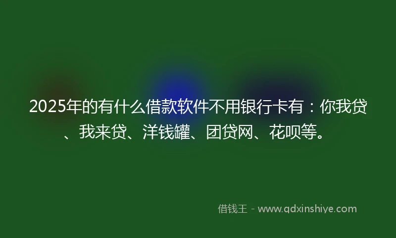 2025年的有什么借款软件不用银行卡有：你我贷、我来贷、洋钱罐、团贷网、花呗等。