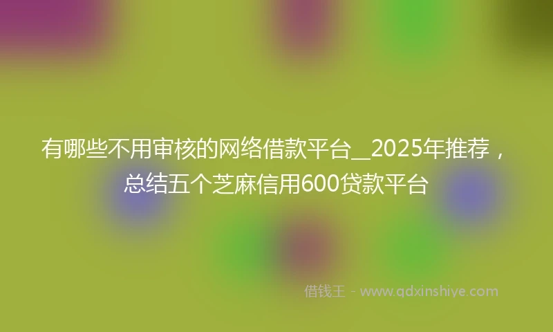 有哪些不用审核的网络借款平台__2025年推荐，总结五个芝麻信用600贷款平台