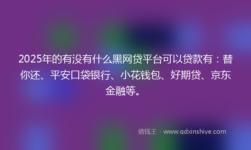 2025年的有没有什么黑网贷平台可以贷款有：替你还、平安口袋银行、小花钱包、好期贷、京东金融等。
