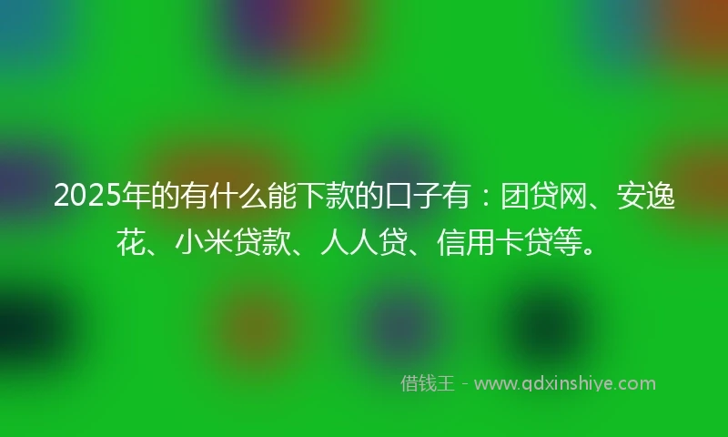 2025年的有什么能下款的口子有：团贷网、安逸花、小米贷款、人人贷、信用卡贷等。