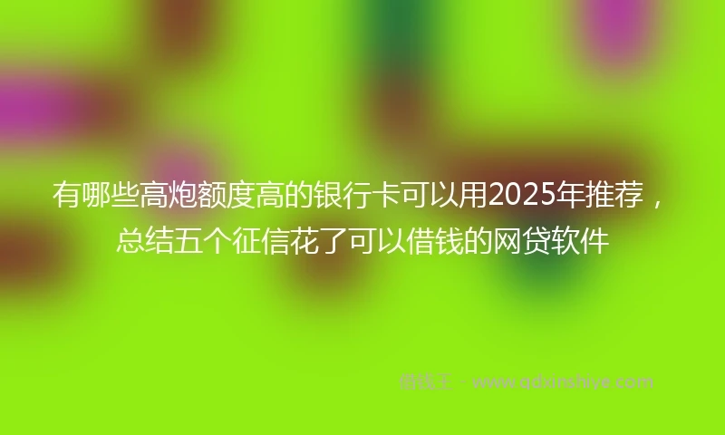 有哪些高炮额度高的银行卡可以用2025年推荐，总结五个征信花了可以借钱的网贷软件